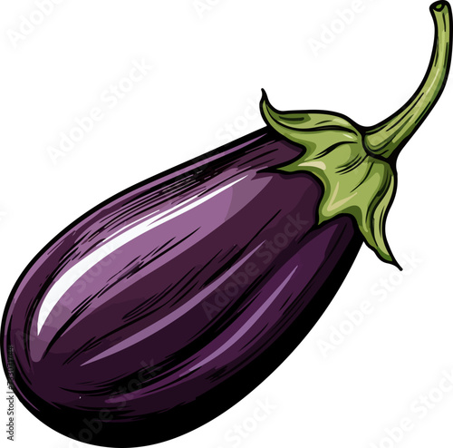 eggplant vector illustration isolated on transparent background. 
