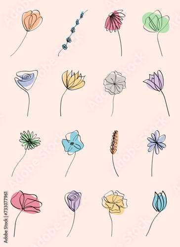 Set of minimal botanical graphic isolated on peach background 