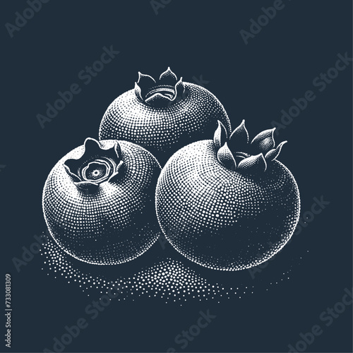 Composition of three Blueberries. Vintage stipple engraving vector illustration on dark background.