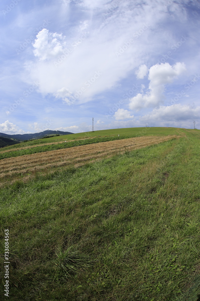 Summer european landcsapes in Slovakia