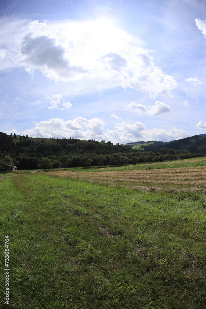 Fototapeta premium Summer european landcsapes in Slovakia