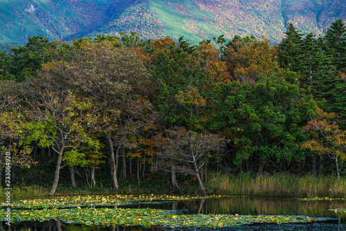 秋の知床五湖風景