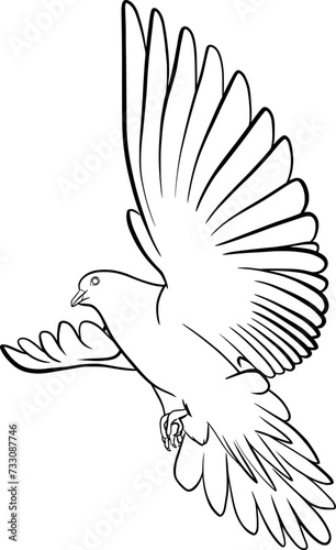 dove of peace, pigeon flying in the air outline illustration