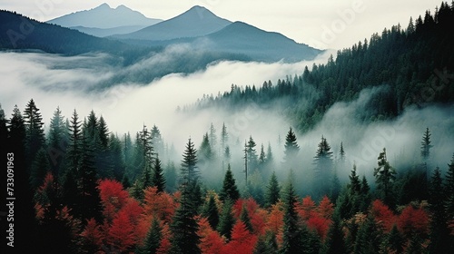 AI generated illustration of a lush valley with a dense forest on the hillside covered in fog