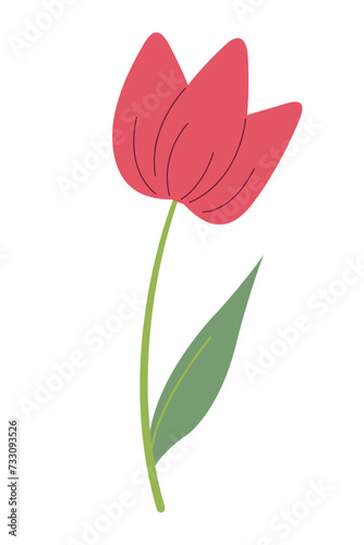 Beautiful red tulip isolated on white background. Vector graphics. Artwork design element. Cartoon design for poster, icon, card, logo, label. © Ekaterina