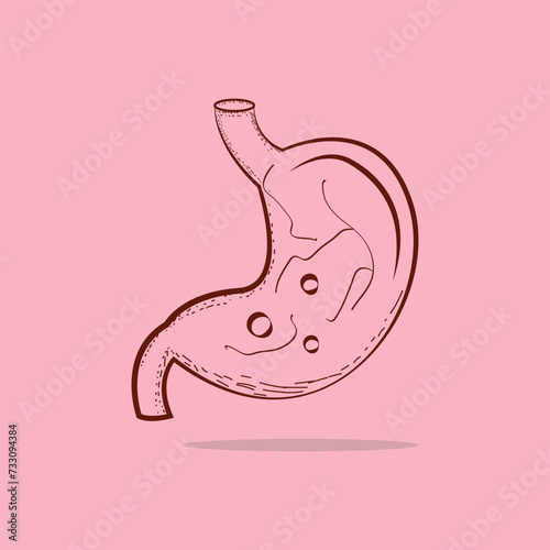 human stomach hand drawn sketch vector isolated illustration