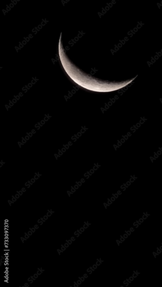 moon moon