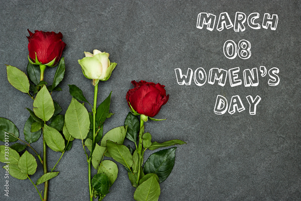 beautiful rose flower on gray grunge background with happy women's day