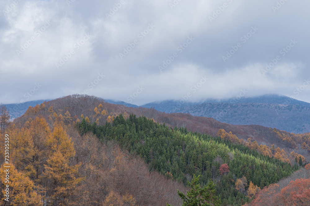 日本　福島県耶麻郡北塩原村、裏磐梯にある中津川渓谷の風景