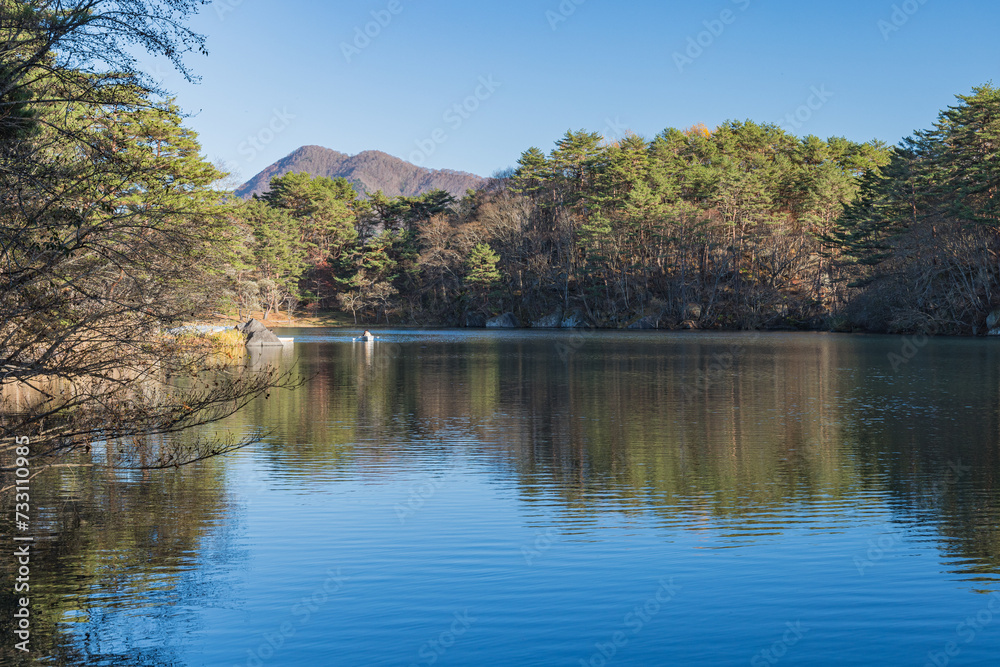 日本 福島県耶麻郡北塩原村、裏磐梯高原の五色沼湖沼群の毘沙門沼 日本 福島県耶麻郡北塩原村、裏磐梯高原の五色沼湖沼群の毘沙門沼