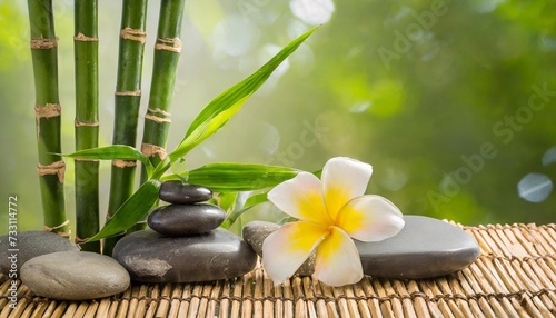 bamboo and stones in a wellness spa