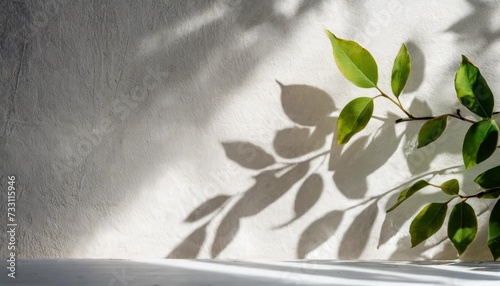 minimalistic light background with blurred foliage shadow on a light wall generated