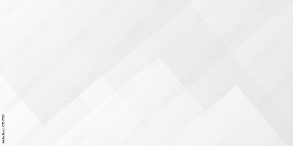Obraz premium Modern abstract white curve square lines triangle technology backdrop. white light grey background. Space design concept. Decorative web layout poster, banner. White grey background vector design.