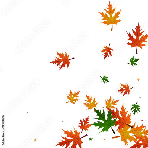 Green Leaves Background White Vector. Leaf Shape Texture. Red Season. Wallpaper Pattern. Gold Plant Beautiful.