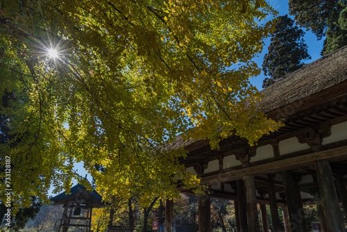 日本 福島県喜多方市慶徳町新宮の新宮熊野神社の大銀杏と熊野神社長床