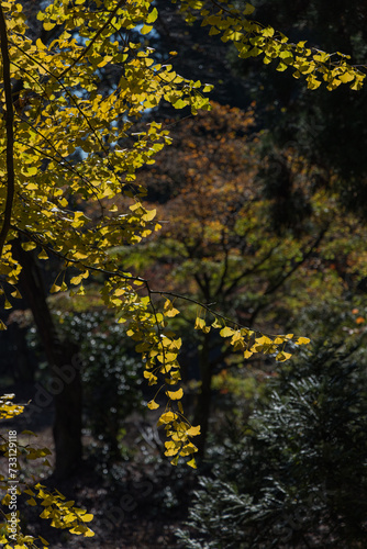 日本 福島県喜多方市慶徳町新宮の新宮熊野神社の境内の風景