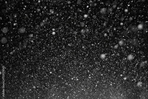 Capturing the peaceful beauty of a winter day, this black and white photograph showcases the delicate dance of snowflakes as they gracefully descend from the sky.