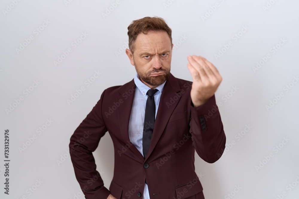 Middle age business man with beard wearing suit and tie doing italian gesture with hand and fingers confident expression Middle age business man with beard wearing suit and tie doing italian gesture with hand and fingers confident expression