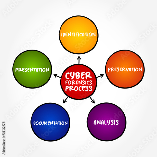 Stages of the cyber forensics process - sub-branch of digital forensics relating to the monitoring and analysis of computer network traffic, mind map text concept background 