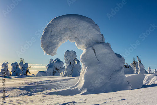 Winter landscape in Riisitunturi National Park (Riisitunturin kansallispuisto), central Finland: snow and frost covered fir trees against clear blue sky photo