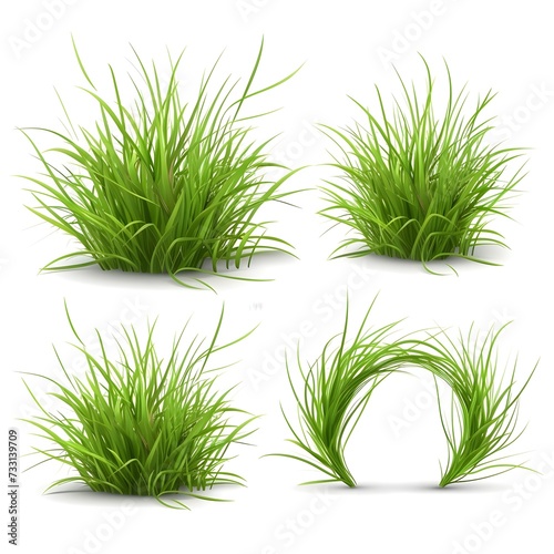 Grass