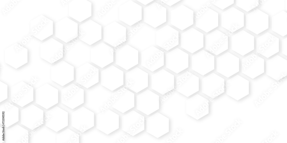 Abstract White Hexagonal Background. Luxury White Pattern. hexagon concept design abstract technology background.honeycomb white Background,geometric mesh cell texture. Abstract White Hexagonal Background. Luxury White Pattern. hexagon concept design abstract technology background.honeycomb white Background,geometric mesh cell texture.