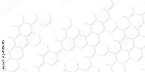 Abstract geometric background.Futuristic abstract banner.wallpaper banner pattern with copy space,Abstract white vector wallpaper with hexagon grid,
