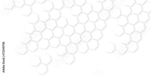 Abstract White Hexagonal Background. Luxury White Pattern. hexagon concept design abstract technology background.honeycomb white Background,geometric mesh cell texture.