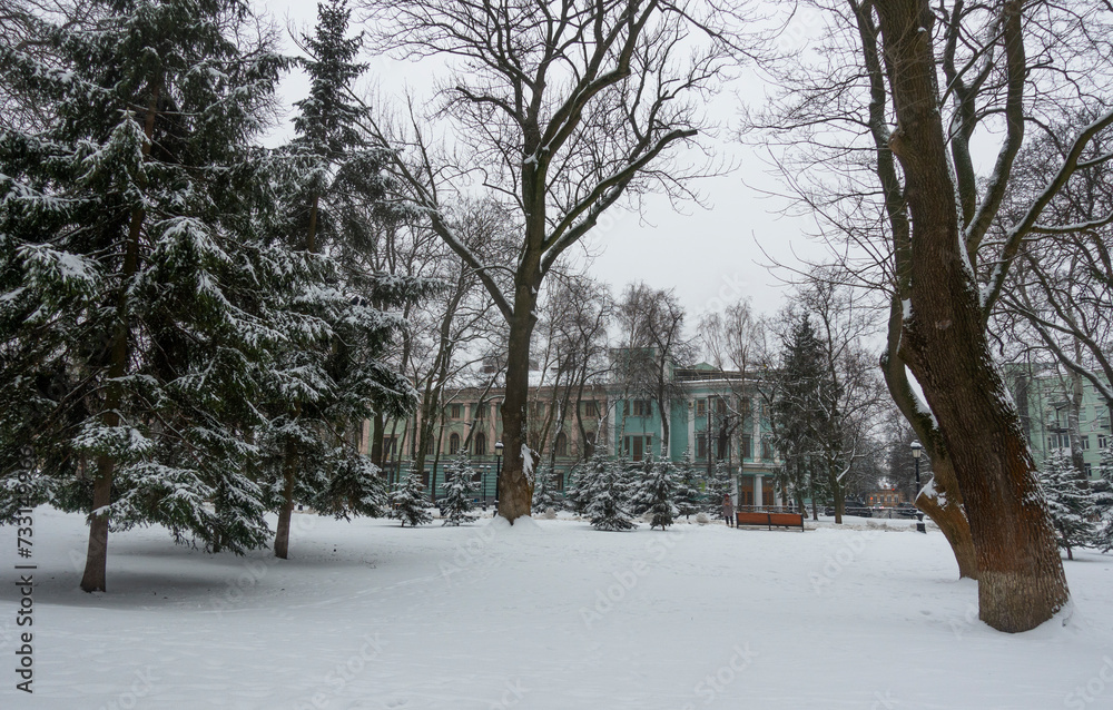 Naklejka premium View of the Mariinsky Park in Kyiv in winter