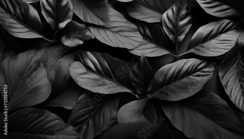 textures of abstract black leaves for tropical leaf background flat lay dark nature concept tropical leaf digital ai