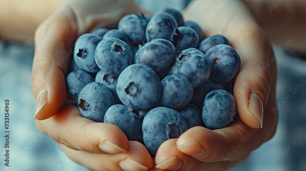 Close-up of hands gently holding a cluster of ripe blueberries, with a soft-focus background emphasizing the freshness of the berries.
Close-up of hands gently holding a cluster of ripe blueberries, with a soft-focus background emphasizing the freshness of the berries.