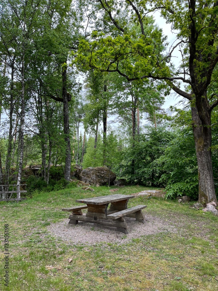 wooden bench in the park