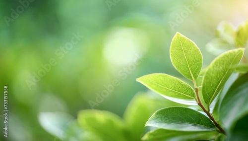 background of nature green leaf in garden at summer using as spring background cover page environment ecology or greenery wallpaper generative ai