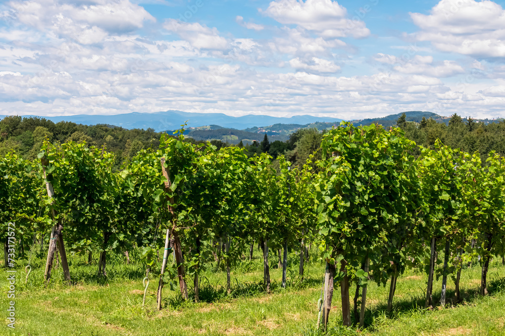 Scenic view of vineyards near Ehrenhausen an der Weinstrasse (wine road), Leibnitz, South Styria, Austria. Winery Skoff stretching over lush green hills. Idyllic hiking trails in Styrian Tuscany