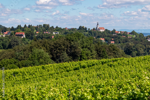 Scenic view of vineyards near Ehrenhausen an der Weinstrasse  wine road   Leibnitz  South Styria  Austria. Winery Skoff stretching over lush green hills. Idyllic hiking trails in Styrian Tuscany