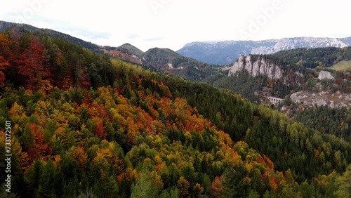 beautiful autumn forest in the mountains