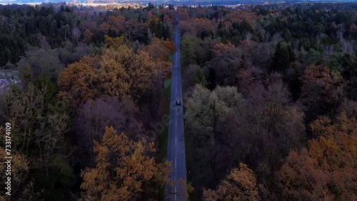 Top down drone shot, road with car in forest