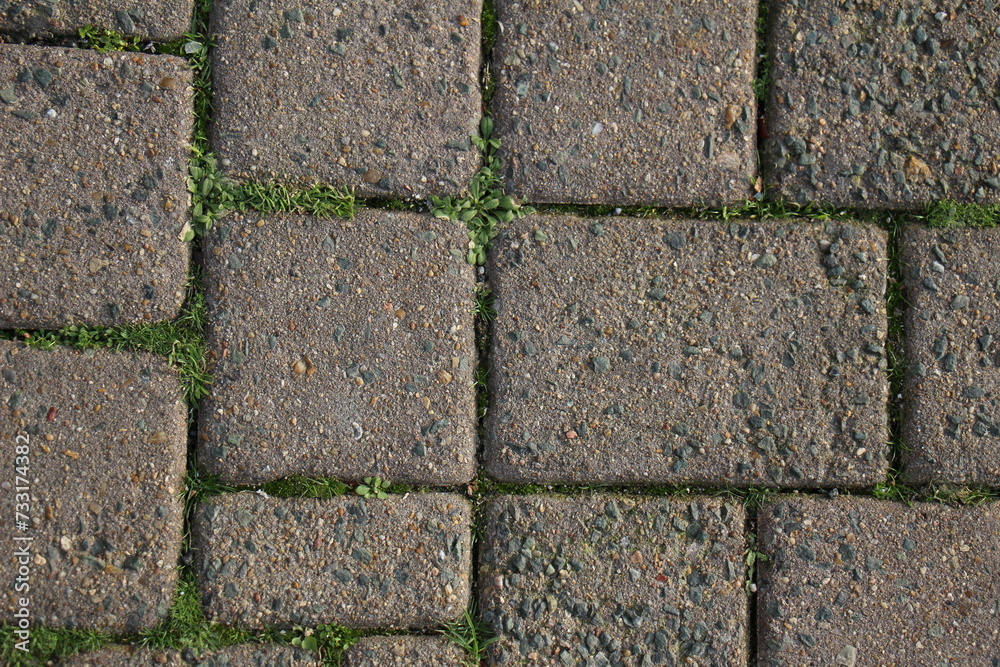 Fototapeta premium rock texture