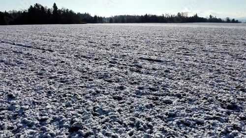 snowy field in winter