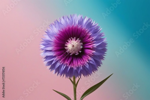 Dreamy Bloom  Purple Flower Amidst Soft Pink and Blue Pastel Background