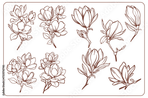 Vector Illustration florals Collection hand drawn
