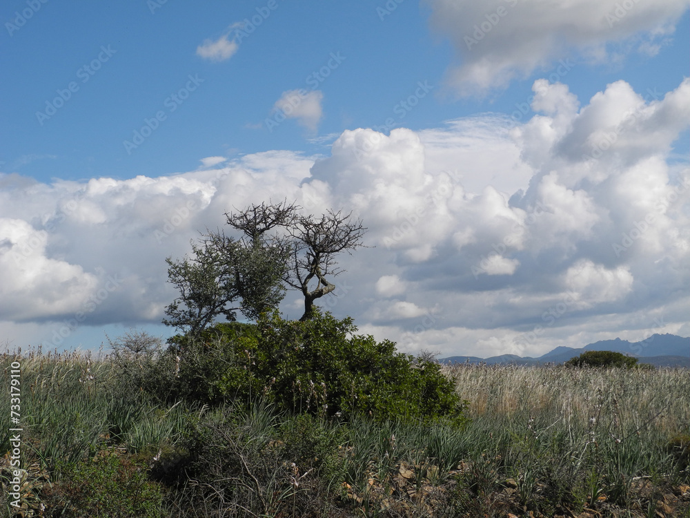 Obraz premium Sardegna