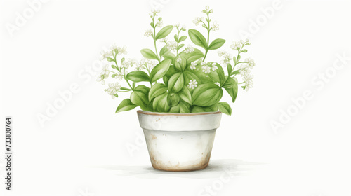 Clipart of white flower in pot