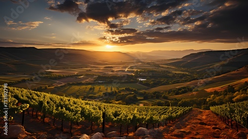 A top view of a vibrant rainbow arcing over a picturesque vineyard, with fluffy clouds and rows of grapevines, capturing the beauty and serenity of wine country