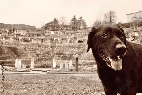 Sepia photo of a black Labrador retriever dog with in the background the Famous Fourviere Lyon Roman theatre in France. photo