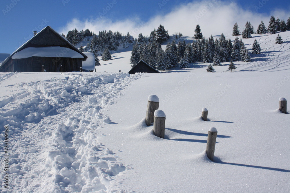 randonnée raquettes . alpages de Tré le Saix. vallée de Bellevaux. Alpes . Haute Savoie - obrazy, fototapety, plakaty 