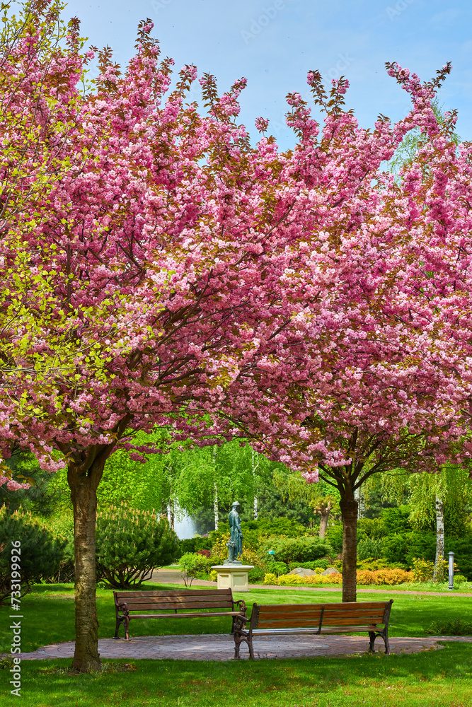 Park with alley of blossoming red apple trees. Park with alley of blossoming red apple trees.