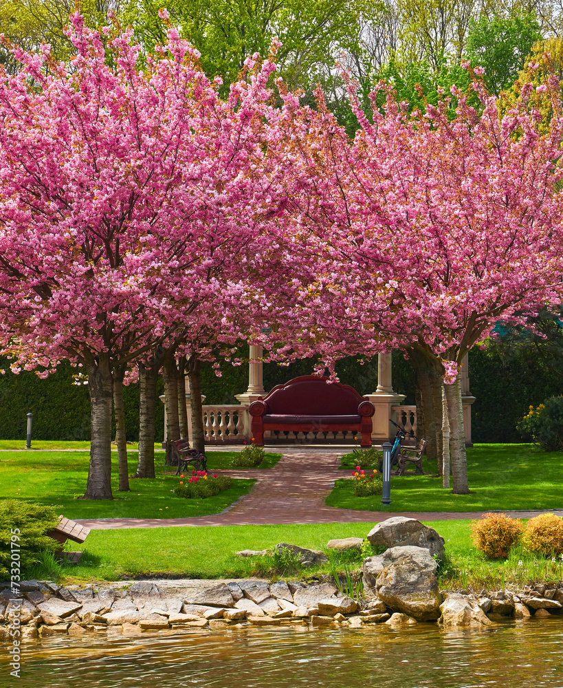 spring landscape with blooming sakura trees in the park spring landscape with blooming sakura trees in the park