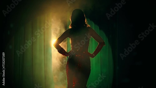 Back rear view Retro lady sexy woman fashion model go away, red long dress evening gown gloves. Mystery beauty adul girl old style walking on stage room to spotlight. Wavy hair holiday new year photo
