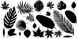 set of abstract foliage silhouette elements isolated on a white background.  collection of leaf silhouettes, banana leaves, tropical leaves, cassava leaves, papaya leaves and others.
